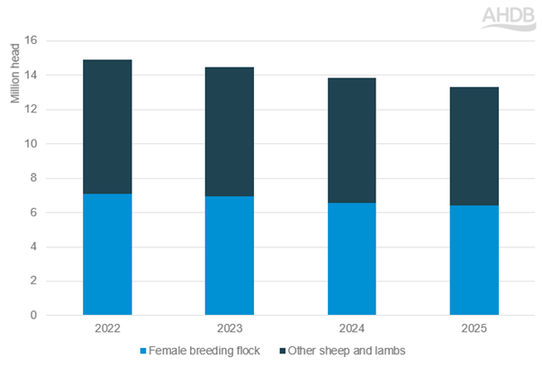 Number of sheep in England 1 June 2025 Graph